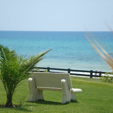 B&B Cote D'Azur Hammamet Exteriér fotografie