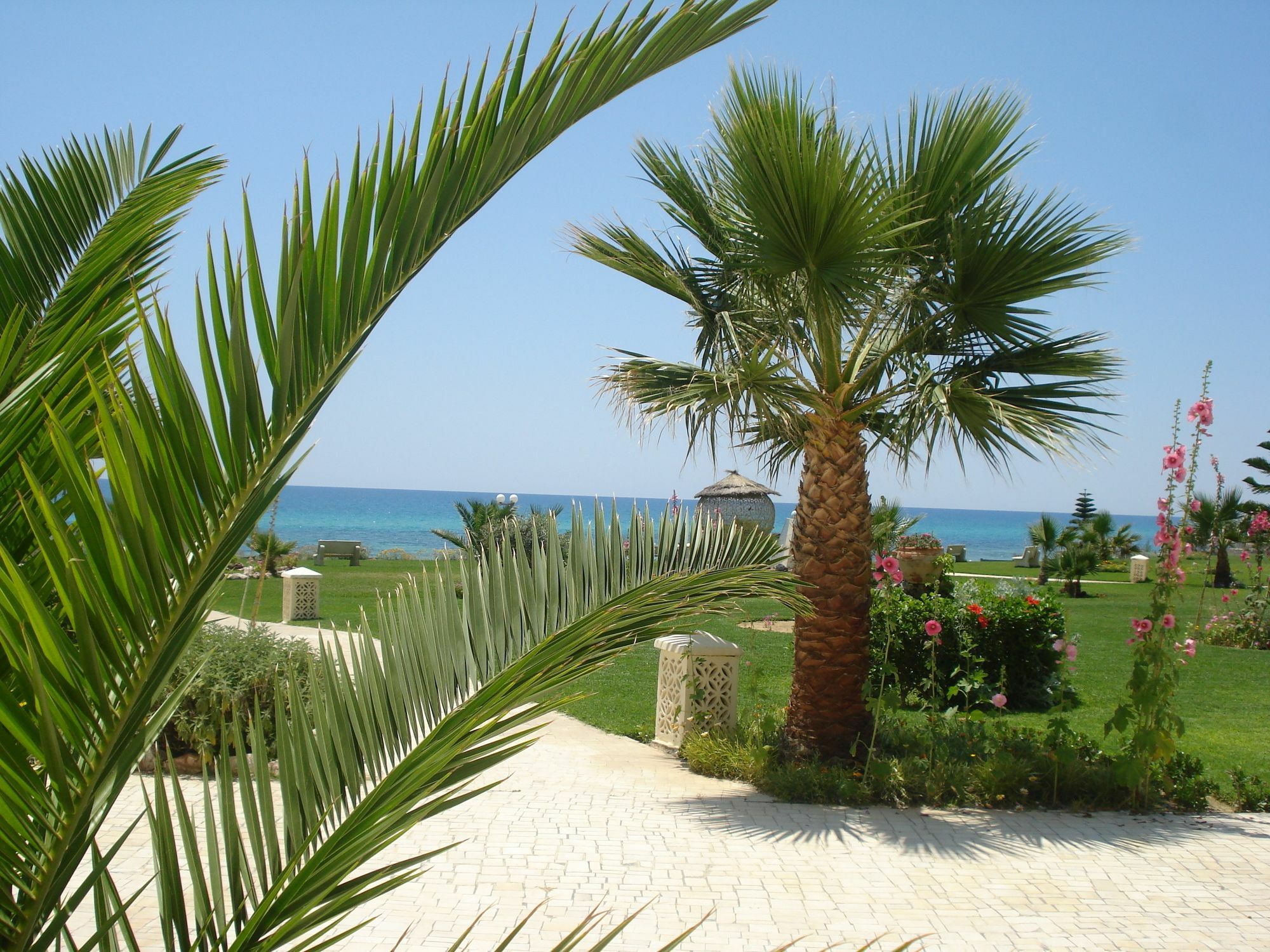 B&B Cote D'Azur Hammamet Exteriér fotografie