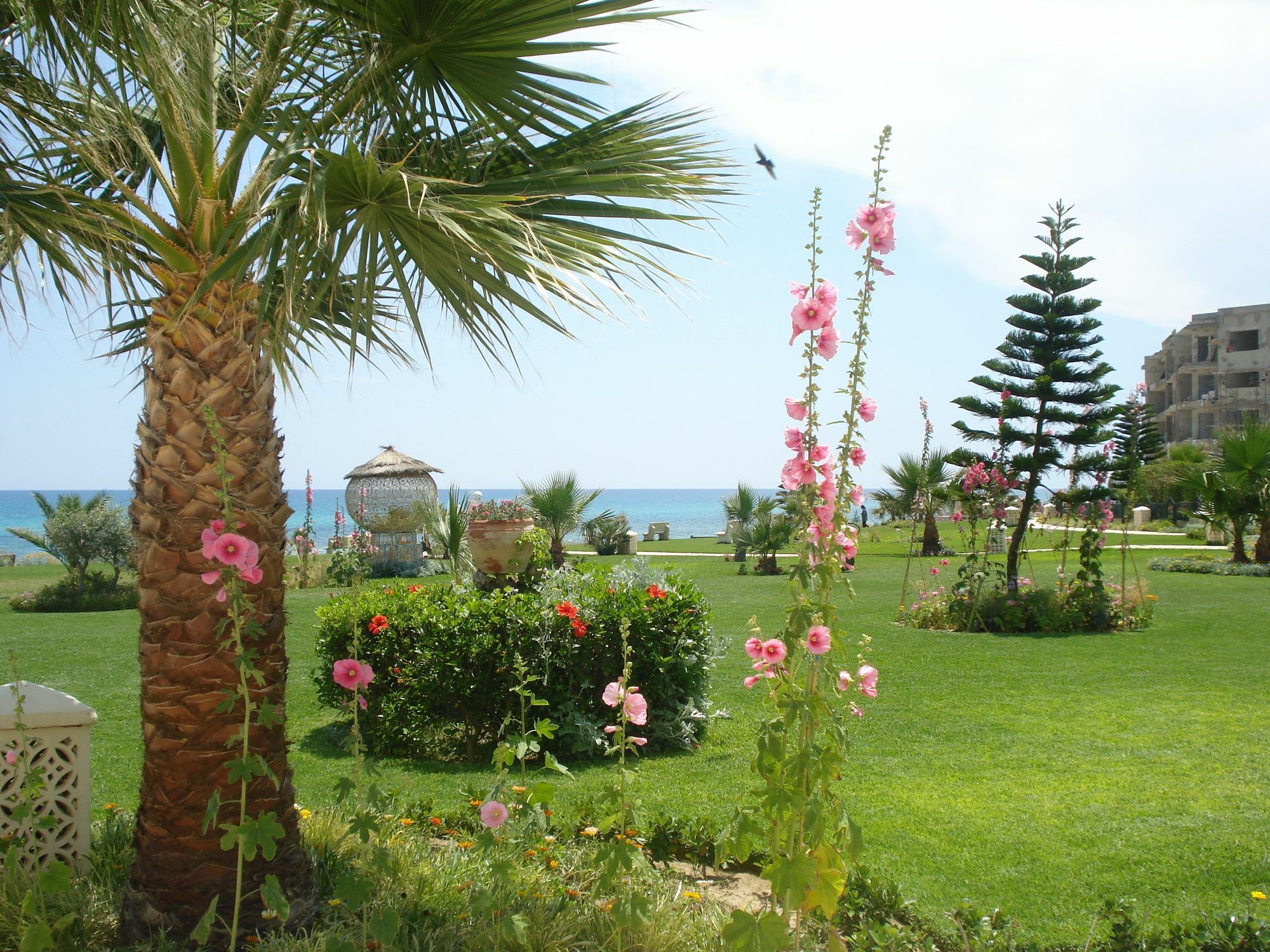 B&B Cote D'Azur Hammamet Exteriér fotografie
